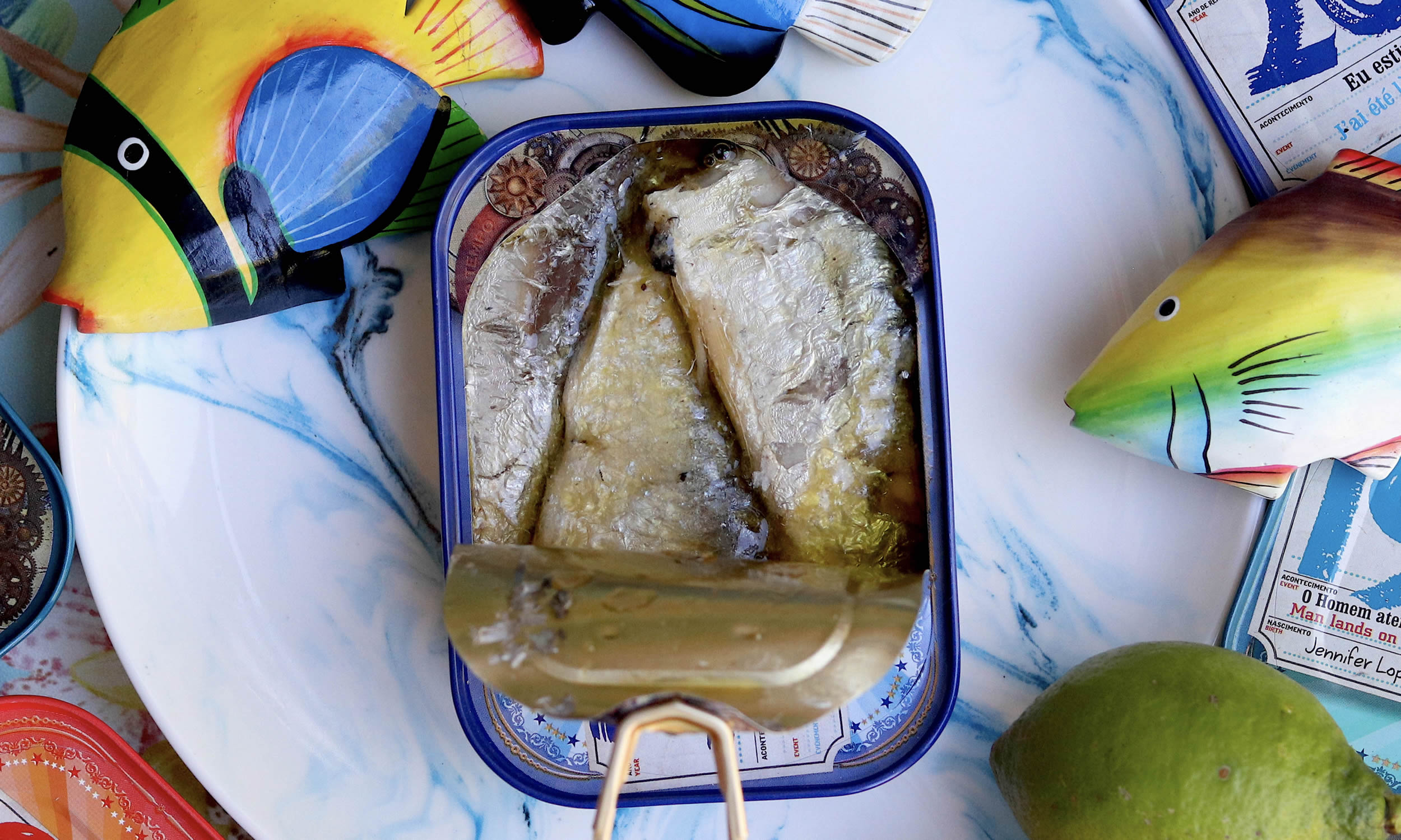 Timeless Sardines 1950 – The Fantastic World of The Portuguese Sardine